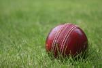 cricket bets
