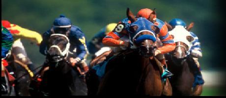Racing Predictions