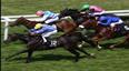 Horse Racing
